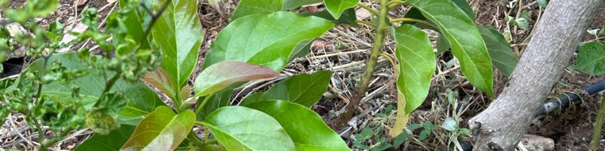 WhatsApp Image 2025-09-08 at 00.26.08 (19)